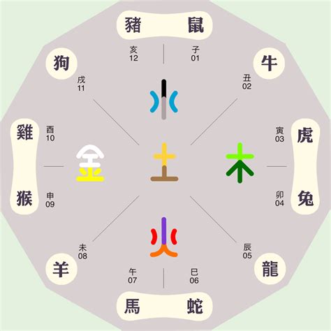 壬戌五行|地支